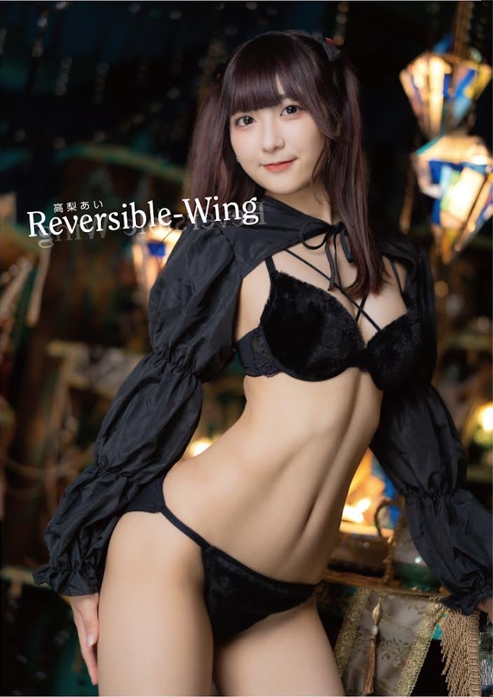 Reversible-Wing